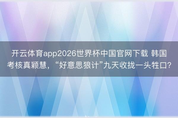 开云体育app2026世界杯中国官网下载 韩国考核真颖慧，“好意思狼计”九天收拢一头牲口？